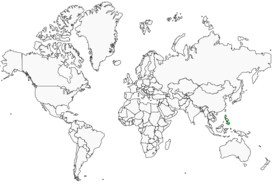 Distribution 