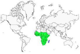 Distribution 