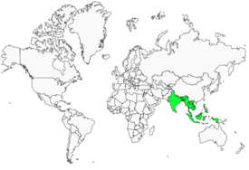 Distribution 