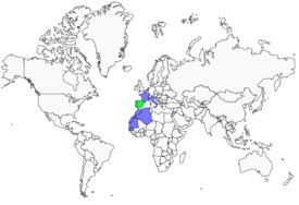 Distribution 