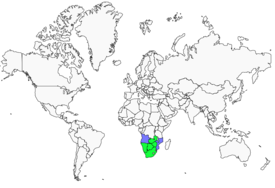 Distribution 