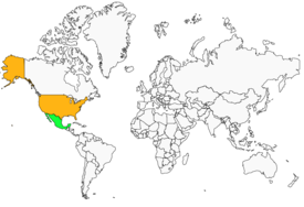 Distribution 