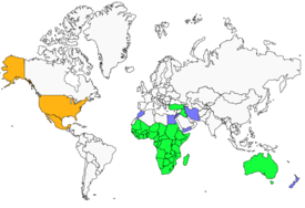 Distribution 