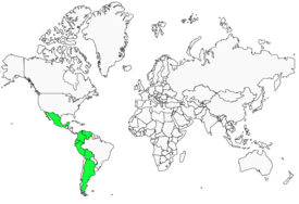 Distribution 