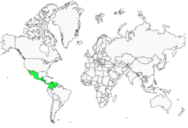 Distribution 