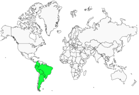 Distribution 