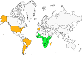 Distribution 