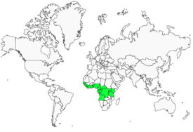 Distribution 