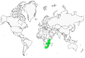 Distribution 