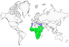 Distribution 
