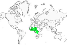 Distribution 