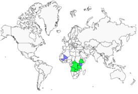 Distribution 