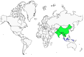 Distribution 