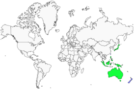 Distribution 