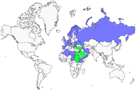 Distribution 