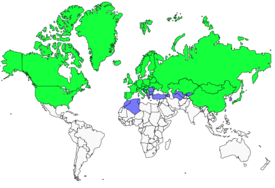 Distribution 