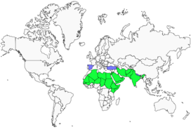 Distribution 