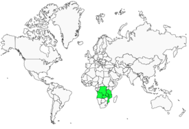 Distribution 