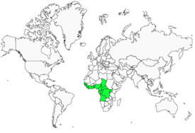 Distribution 