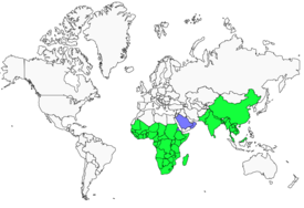 Distribution 