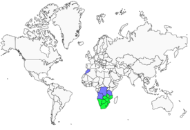 Distribution 