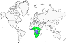 Distribution 