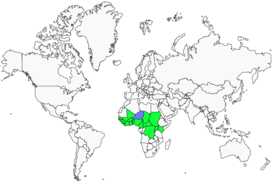 Distribution 