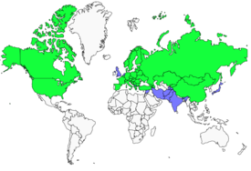 Distribution 