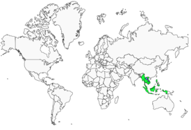 Distribution 