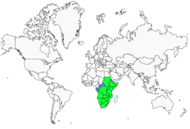 Distribution 