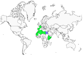 Distribution 