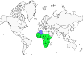 Distribution 