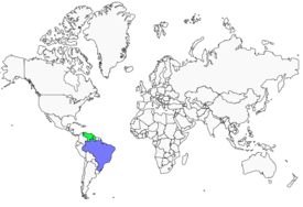 Distribution 
