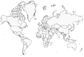 Distribution 