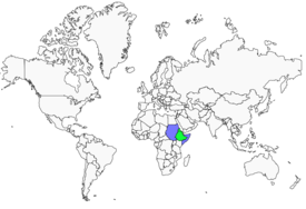 Distribution 