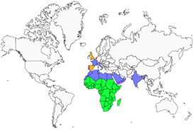 Distribution 