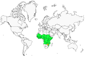 Distribution 