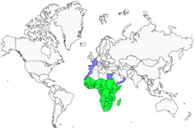 Distribution 