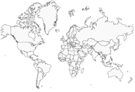 Distribution 