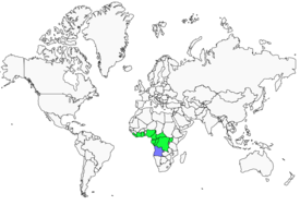 Distribution 