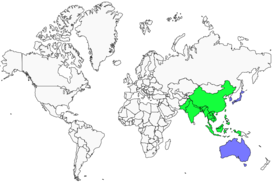 Distribution 
