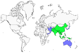 Distribution 
