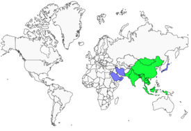 Distribution 