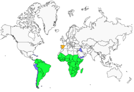 Distribution 