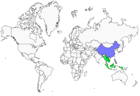 Distribution 