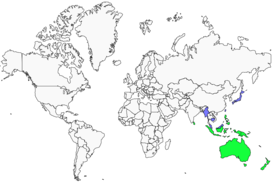 Distribution 
