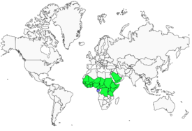 Distribution 