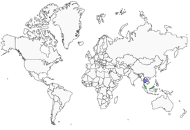 Distribution 