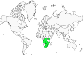 Distribution 