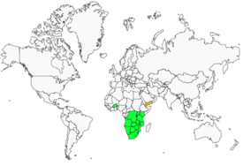 Distribution 